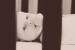 hanging_on_reduced